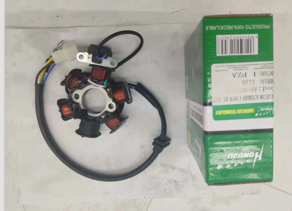 C110-6 pole coil